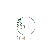 venues weddingvenue eventvenue bohowedding bohoforest Sticker