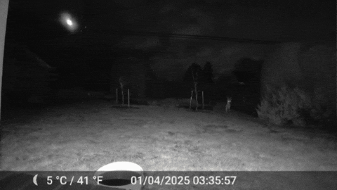 hazelturnip giphygifmaker GIF