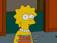 Lisa Simpson GIF by The Simpsons