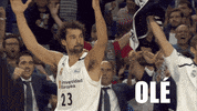 real madrid basketball GIF by ACB