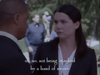 season 1 netflix GIF by Gilmore Girls 