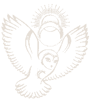 Coaching Ame Sticker by SOMA SOWA