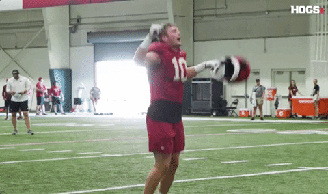 HogsPlus giphygifgrabber sports football college GIF