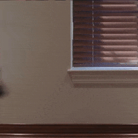 Happy Christmas Time GIF by Biden Inauguration Committee