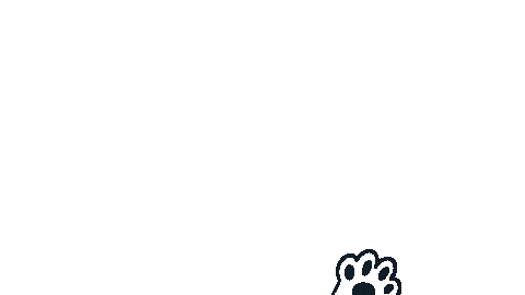 Cat Kitty Sticker