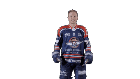 Ducs Dangers Hockey Sticker by Les Ducs d'Angers