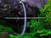 Enjoy Lol GIF by FranchiseONE.de