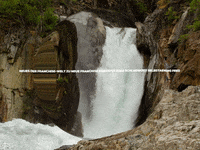 Fun Party GIF by FranchiseONE.de
