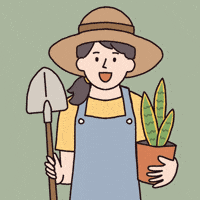 Happy Flower Pot GIF by Carolynn