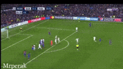 Atletico De Madrid Football GIF