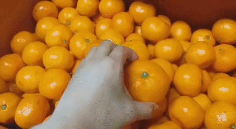 skagk giphyupload GIF