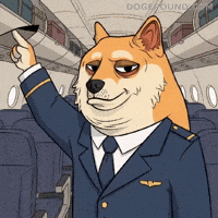 Pointing Up Shiba Inu GIF by Doge Pound