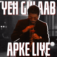 Raja Hindustani King GIF