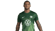 Football Love Sticker by VfL Wolfsburg