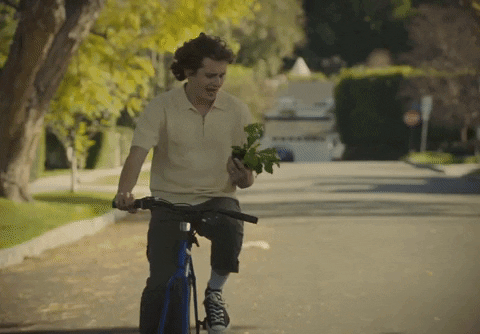 Stumbling GIF by Sarcastic Sounds