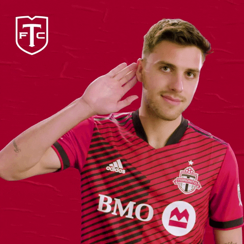 Major League Soccer What GIF by Toronto FC