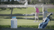 xyngular reviews osteo GIF by Xyngular