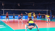 Power Celebrate GIF by Volleyball World
