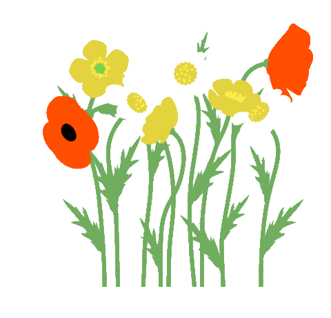 Wildflowers Sticker by National Trust