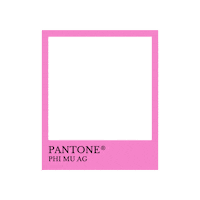 phimusamford phimu phimuag phimusamford Sticker