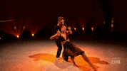 fox serge GIF by So You Think You Can Dance