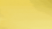 Happy Borussia Dortmund GIF by Bundesliga