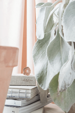 GIF by House of Vincent