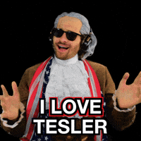 Tesla Tesler GIF