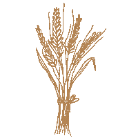 Plants Grass Sticker by brittanystreissguth