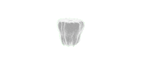 3d teeth Sticker by The Griffith Absurdatory