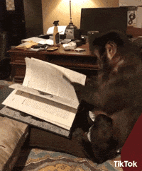 Studio Reading GIF by TikTok Italia