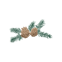 Christmas Tannenzapfen Sticker by MyWellness