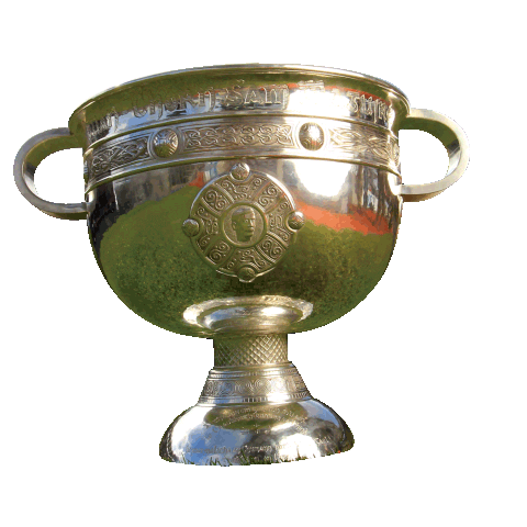 Football Gaa Sticker by SuperValu Ireland