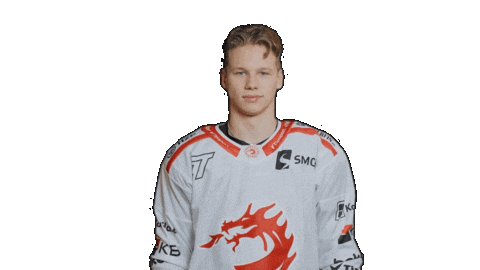 Trinec Sticker by HC Oceláři Třinec