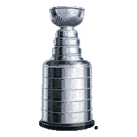 Happy Ice Hockey Sticker by NHL