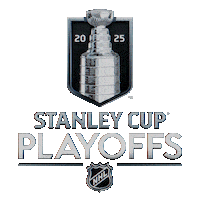 Happy Ice Hockey Sticker by NHL