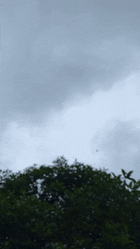 rainfrop