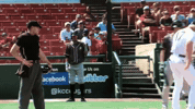 kccougars GIF by Kane County Cougars