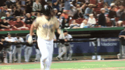 kccougars kccougars GIF