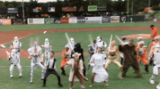 kccougars GIF by Kane County Cougars
