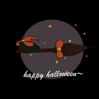 hazash halloween happy halloween halloween cat witch cat GIF