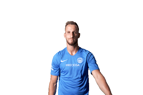 Football Soccer Sticker by FORTUNA:LIGA