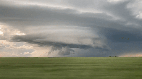 prairiestormchasers giphyupload warning tornado supercell GIF
