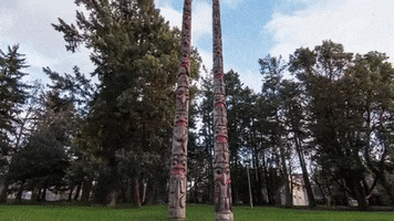 uviccampuslife university indigenous quad totem GIF