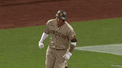 Lets Go Sport GIF by MLB