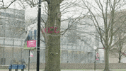 Foundation Kcc GIF by Kankakee Community College