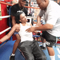 Sturdy GIF