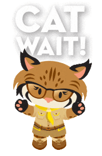 Excited Cat Sticker by AppExchange