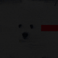 Dog Ops GIF