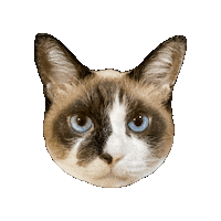 Rererepupupu Sticker